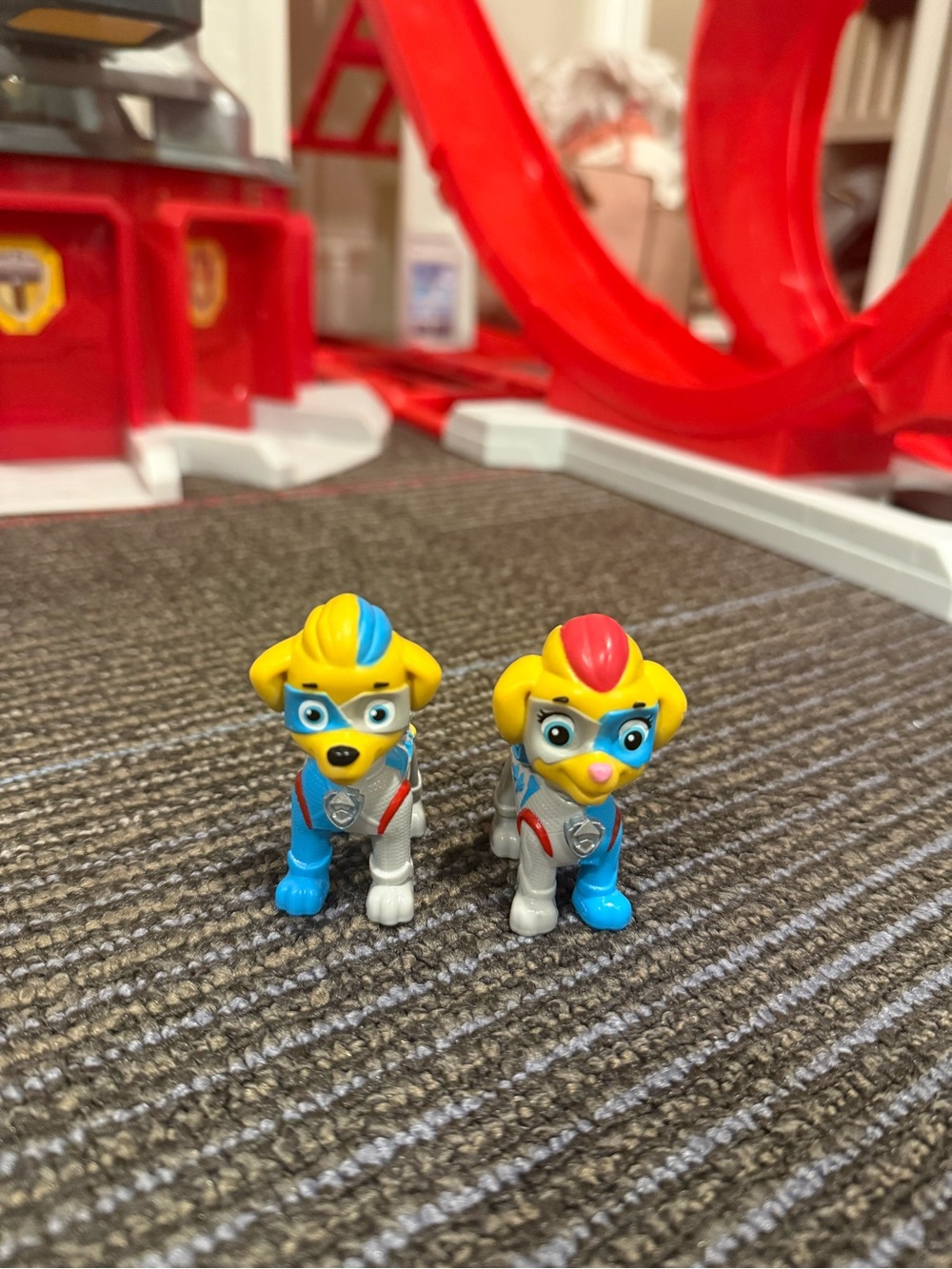 Paw Patrol Twins